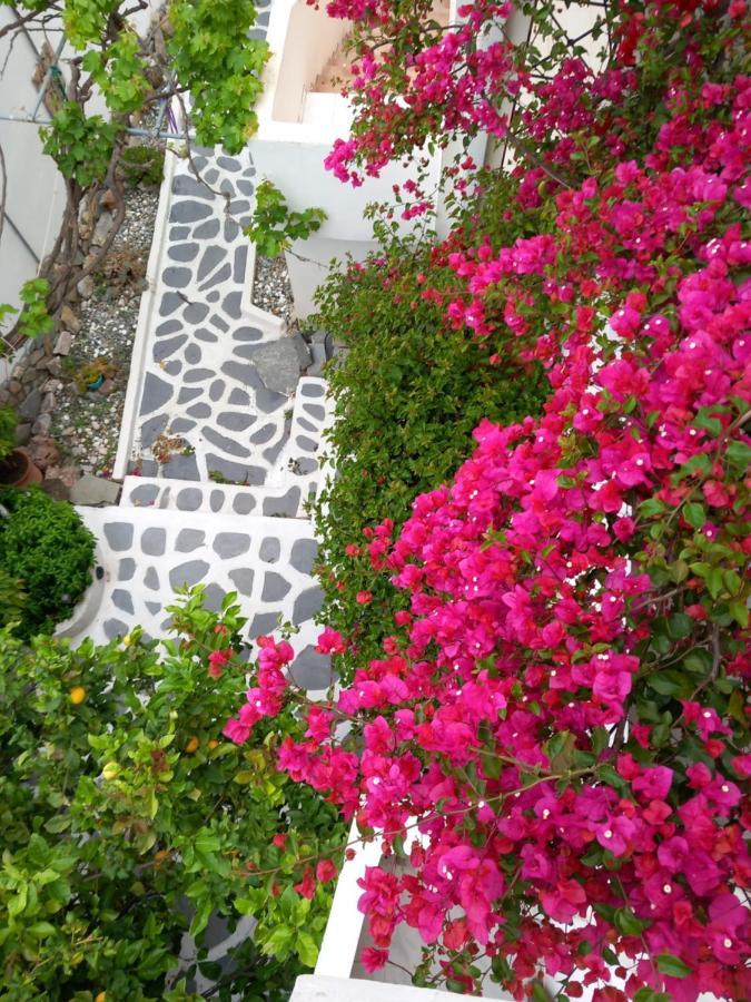 Studio In Garden Poros Town Eksteriør billede