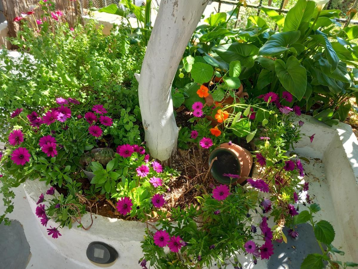 Studio In Garden Poros Town Eksteriør billede